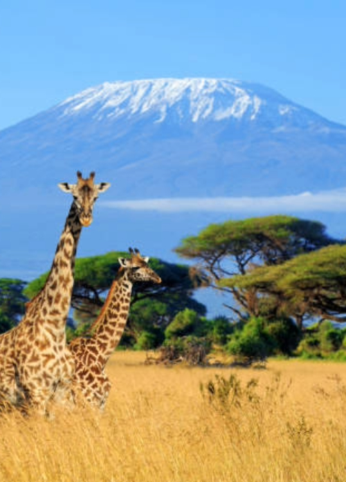 Kenya